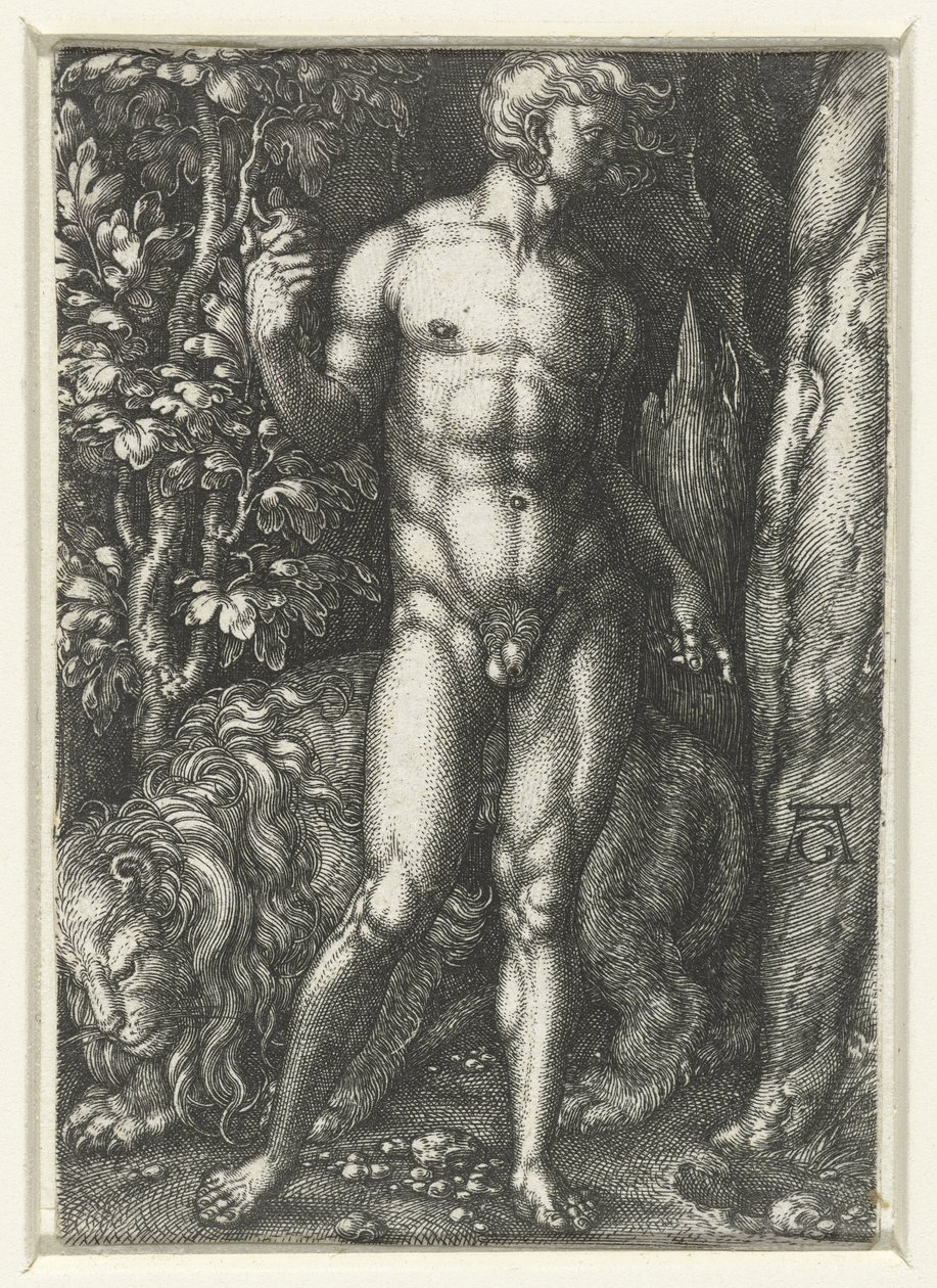 Adamo da Heinrich Aldegrever