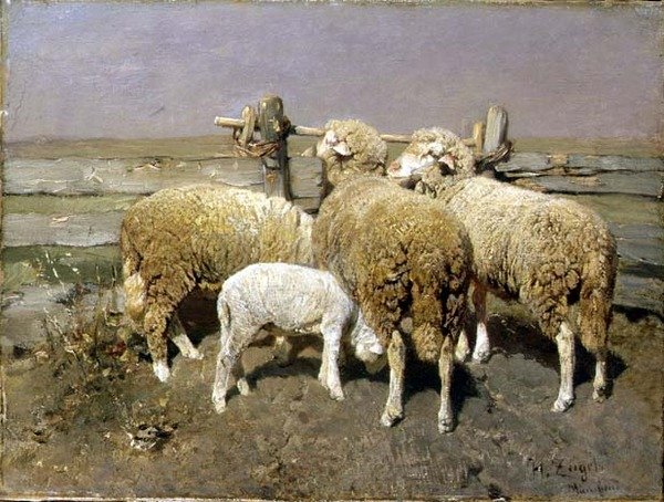 Pecore in un recinto da Heinrich Johann von Zugel