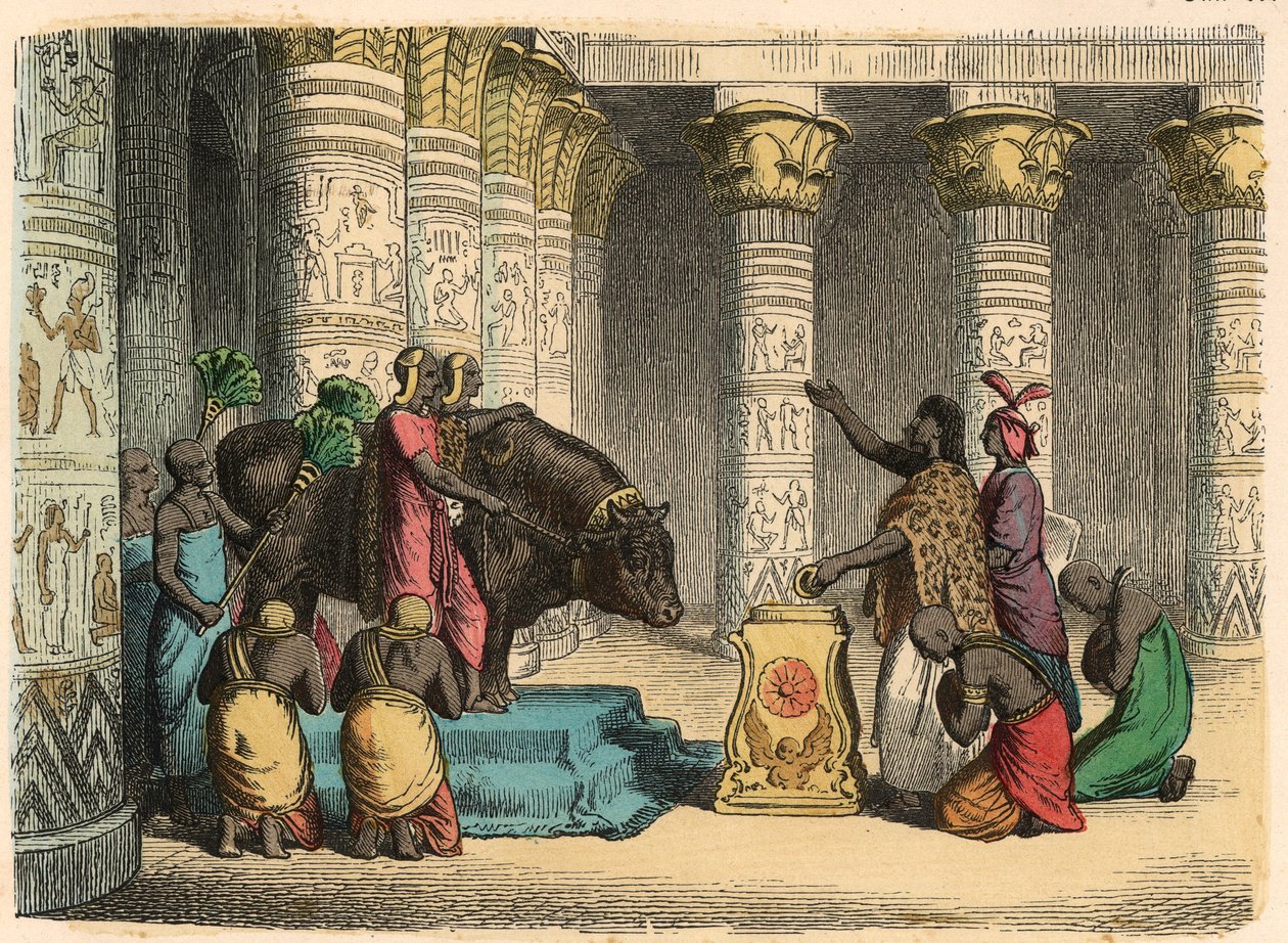 Antico Egitto: Culto del Toro Apis da Heinrich Leutemann