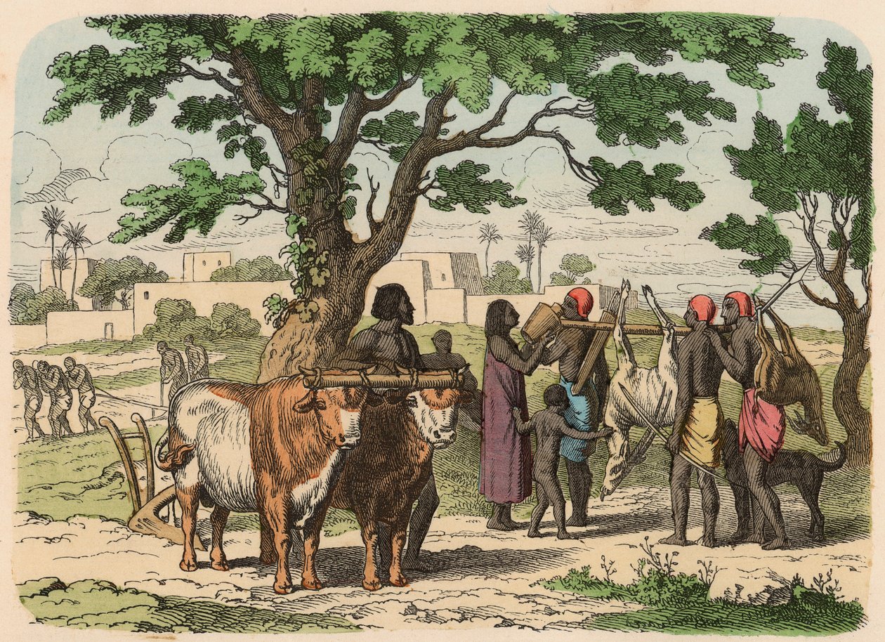Antico Egitto: agricoltura e caccia da Heinrich Leutemann