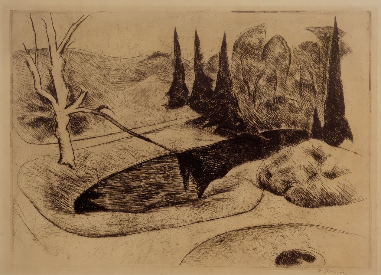 Parco a Dilborn, 1914 da Heinrich Nauen