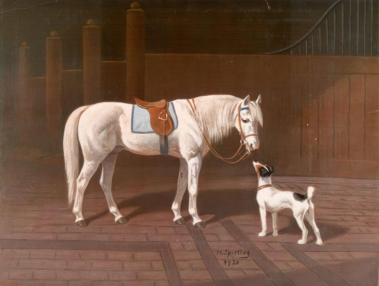Cavallo, bianco / dopo H. Sperling da Heinrich Sperling