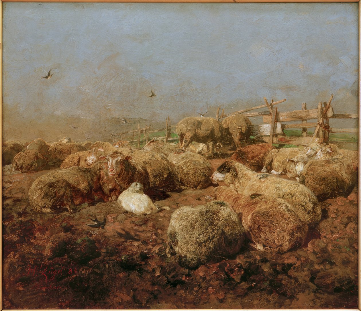 Pecore nel recinto da Heinrich von Zügel