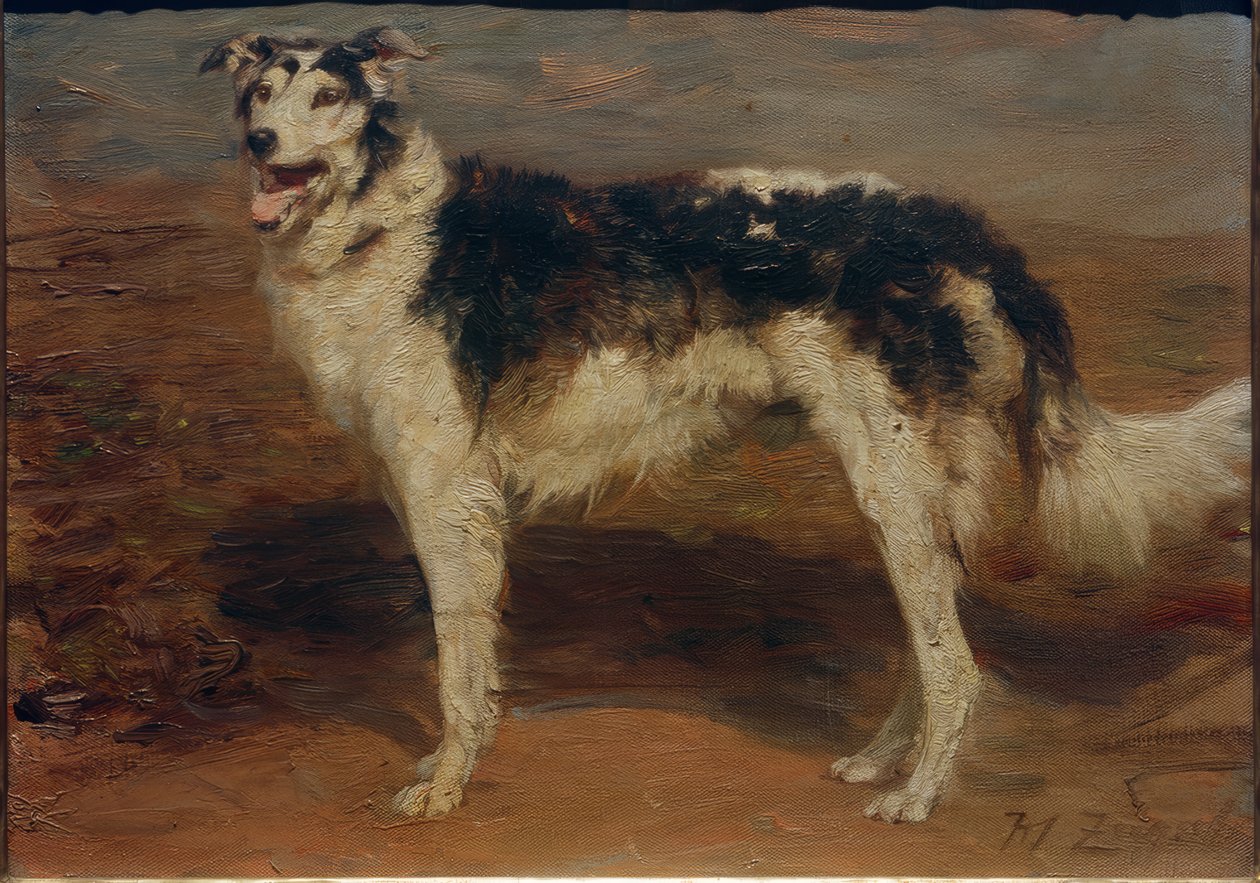 Levriero da Heinrich von Zügel