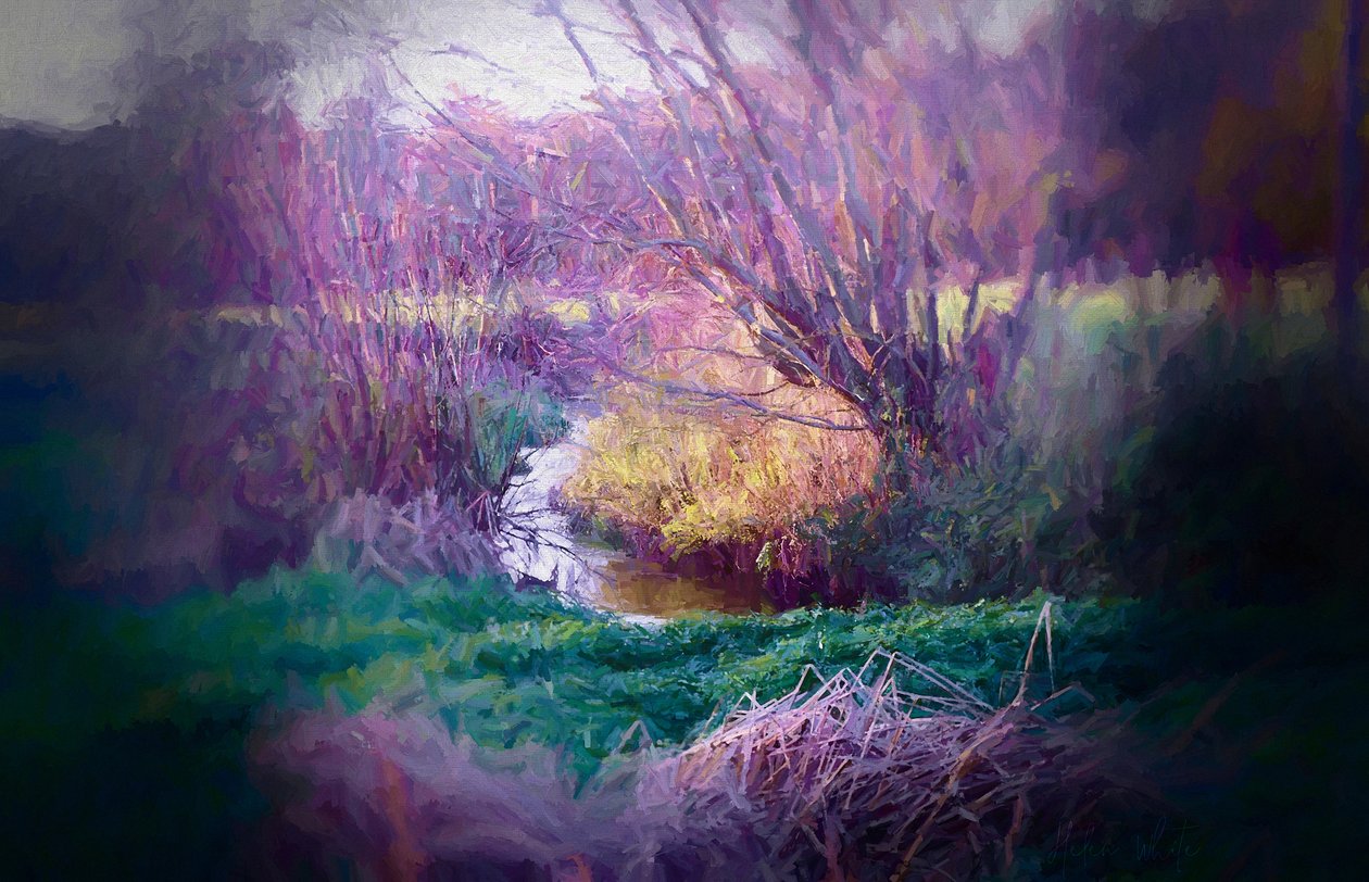 Curva nel fiume, 2018 da Helen White