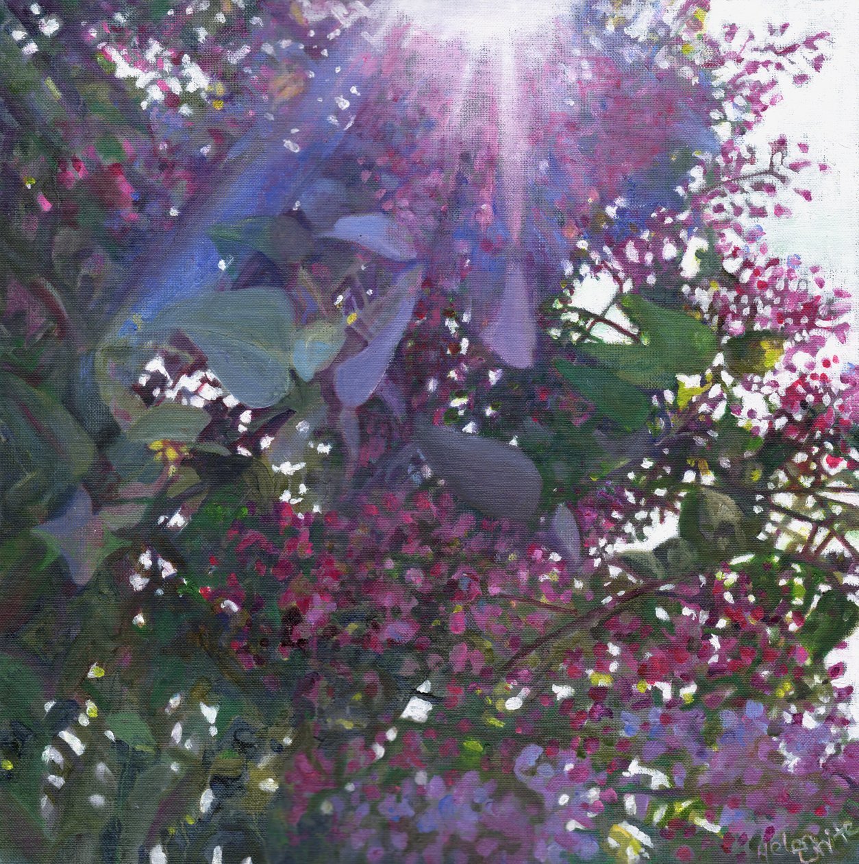 Brillantezza, 2014 da Helen White
