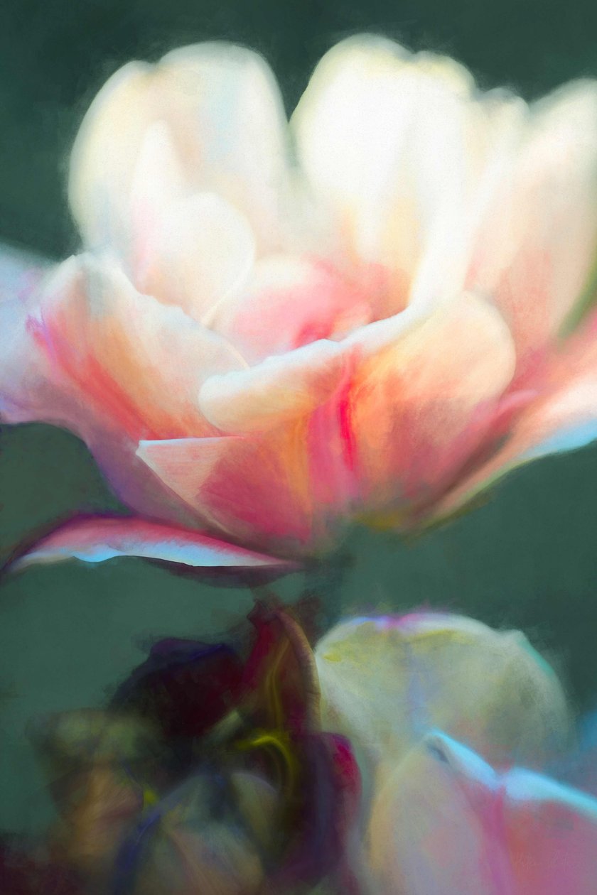 Emergenza II, 2018 da Helen White
