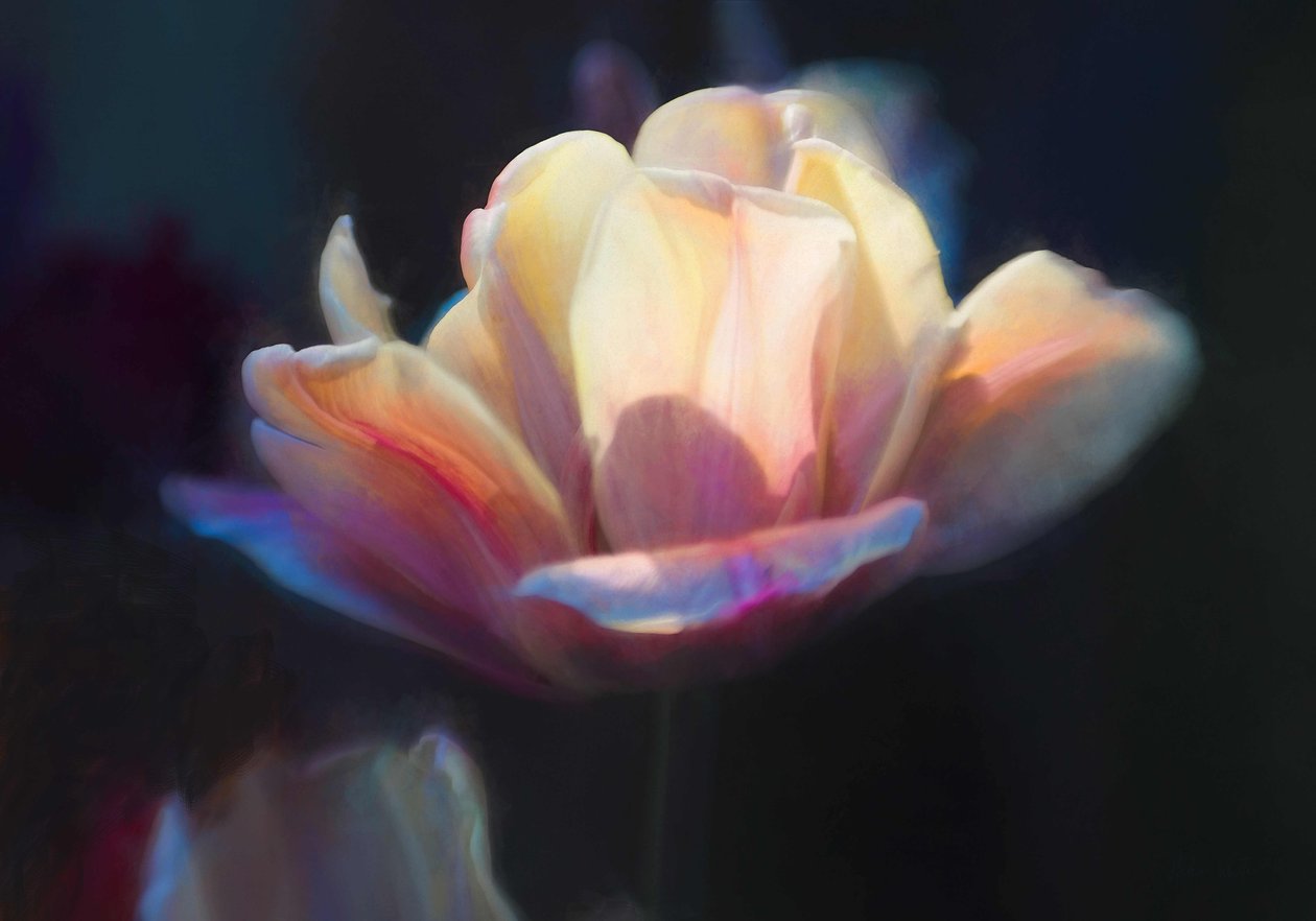 Emergenza III, 2018 da Helen White