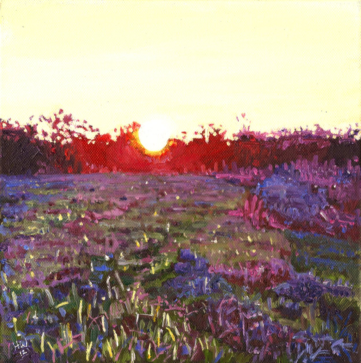 Tramonto a Farley, 2012 da Helen White
