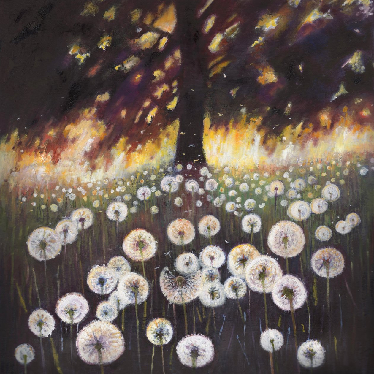 Campo dei sogni da Helen White