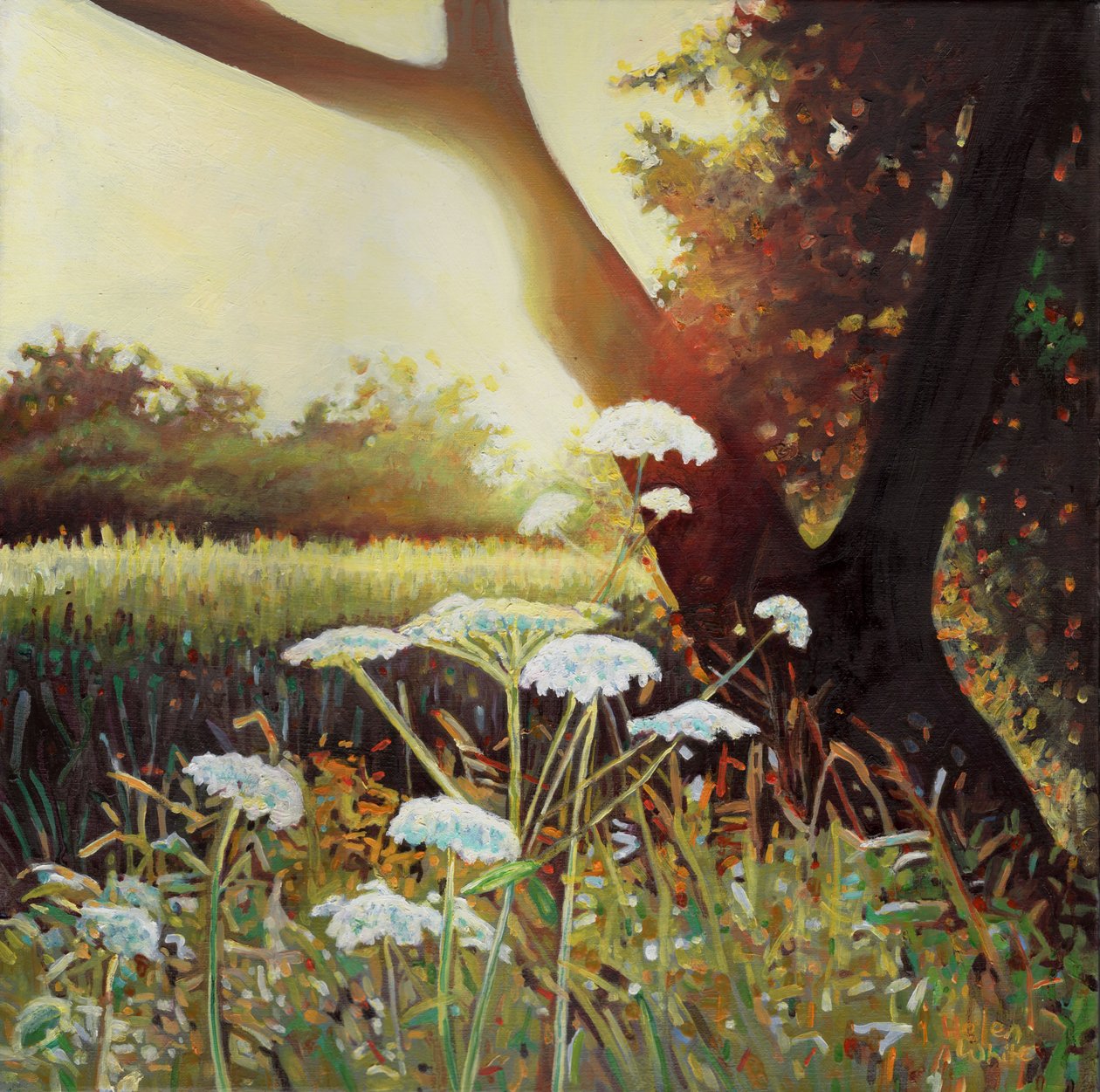 Siepe dorata I, 2014 da Helen White