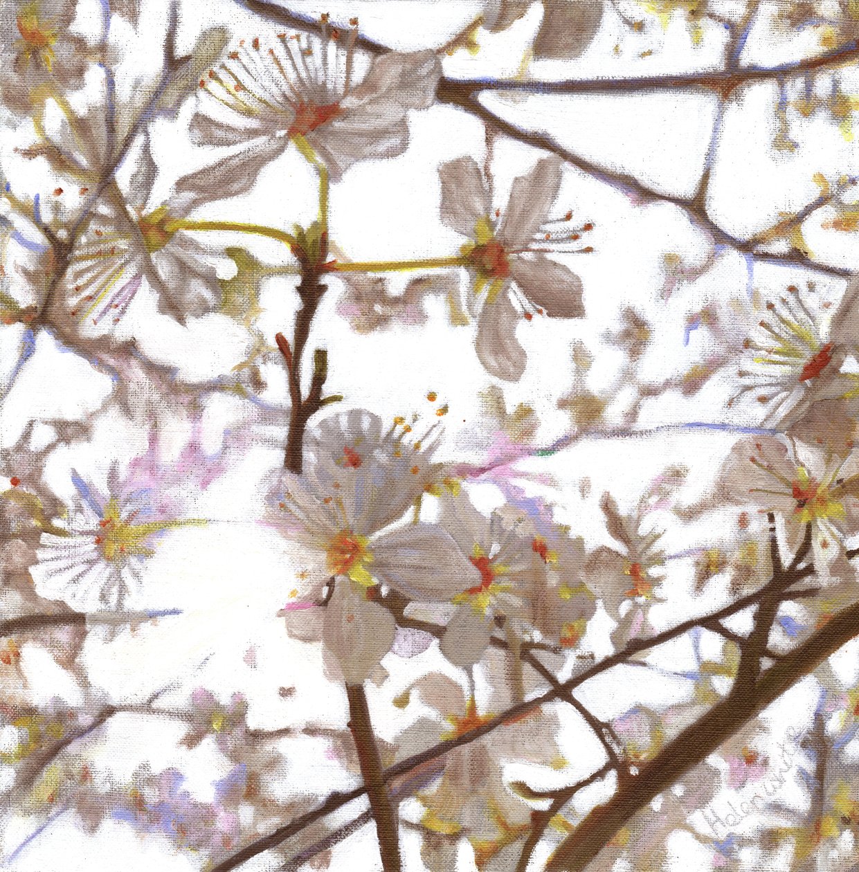 Preludio, 2014 da Helen White