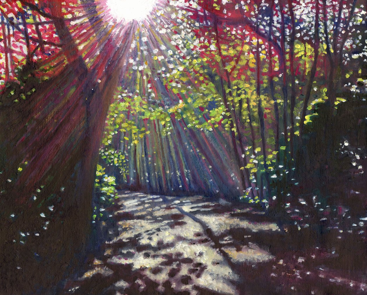 Luce sparsa da Helen White