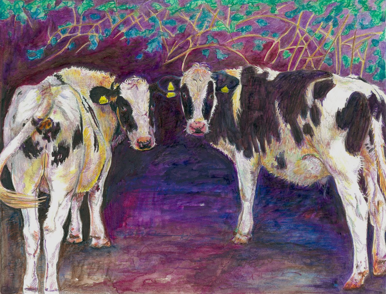 Mucche al riparo, 2011 da Helen White