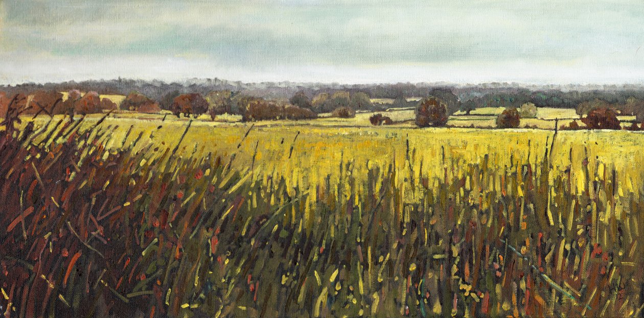 Verso Riseley, 2012 da Helen White