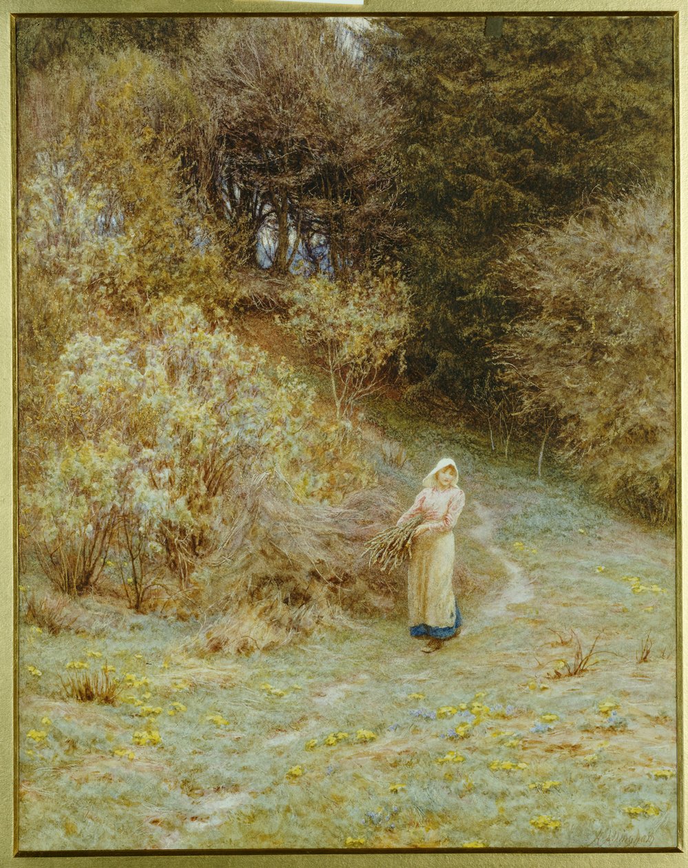 Nel bosco di primule da Helen Allingham