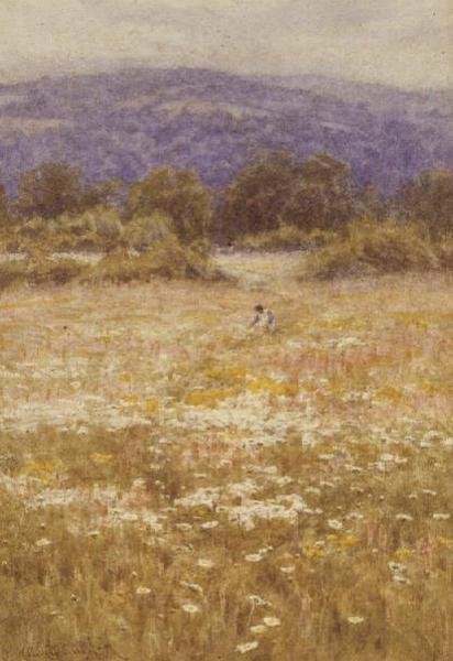 Fiori Estivi da Helen Allingham