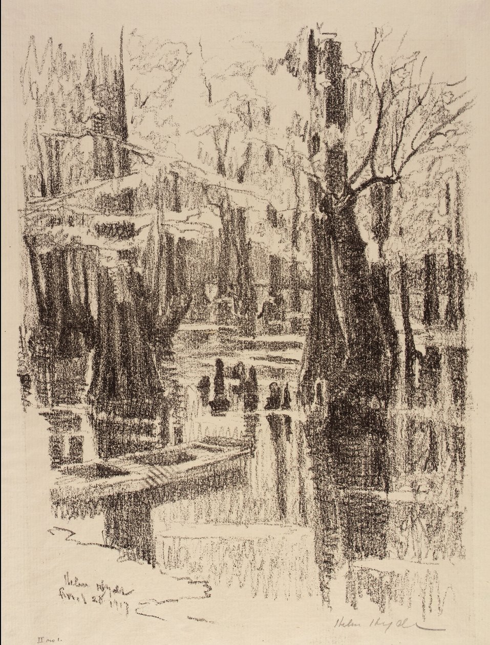 Palude dei cipressi da Helen Hyde