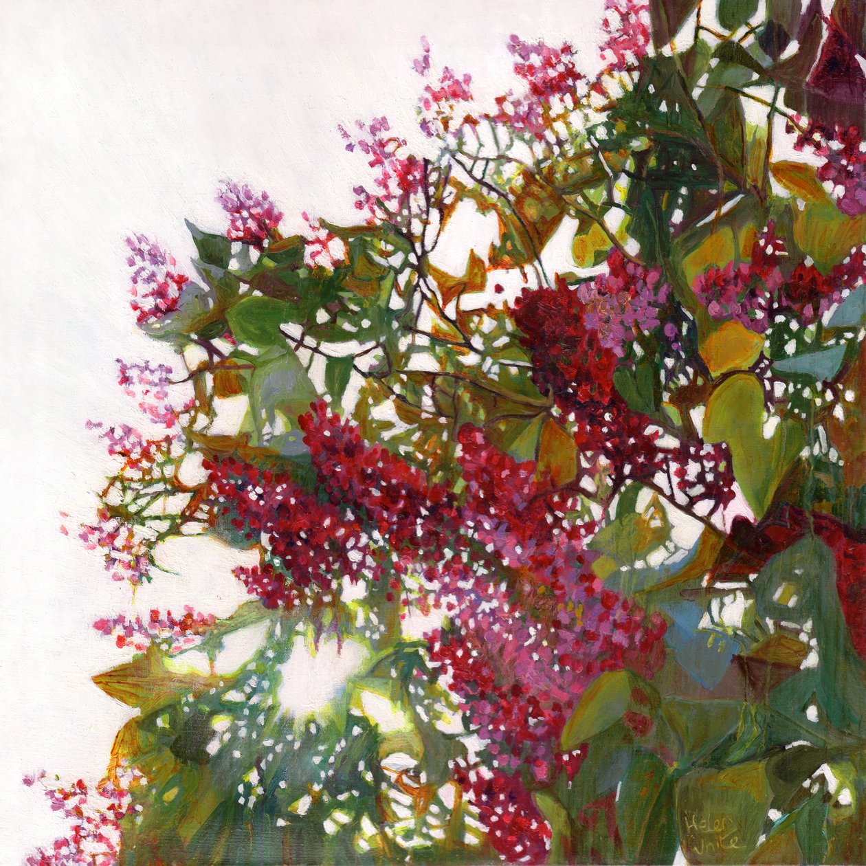 Splendente da Helen White