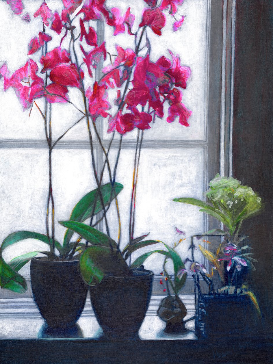 Finestra di Amsterdam da Helen White