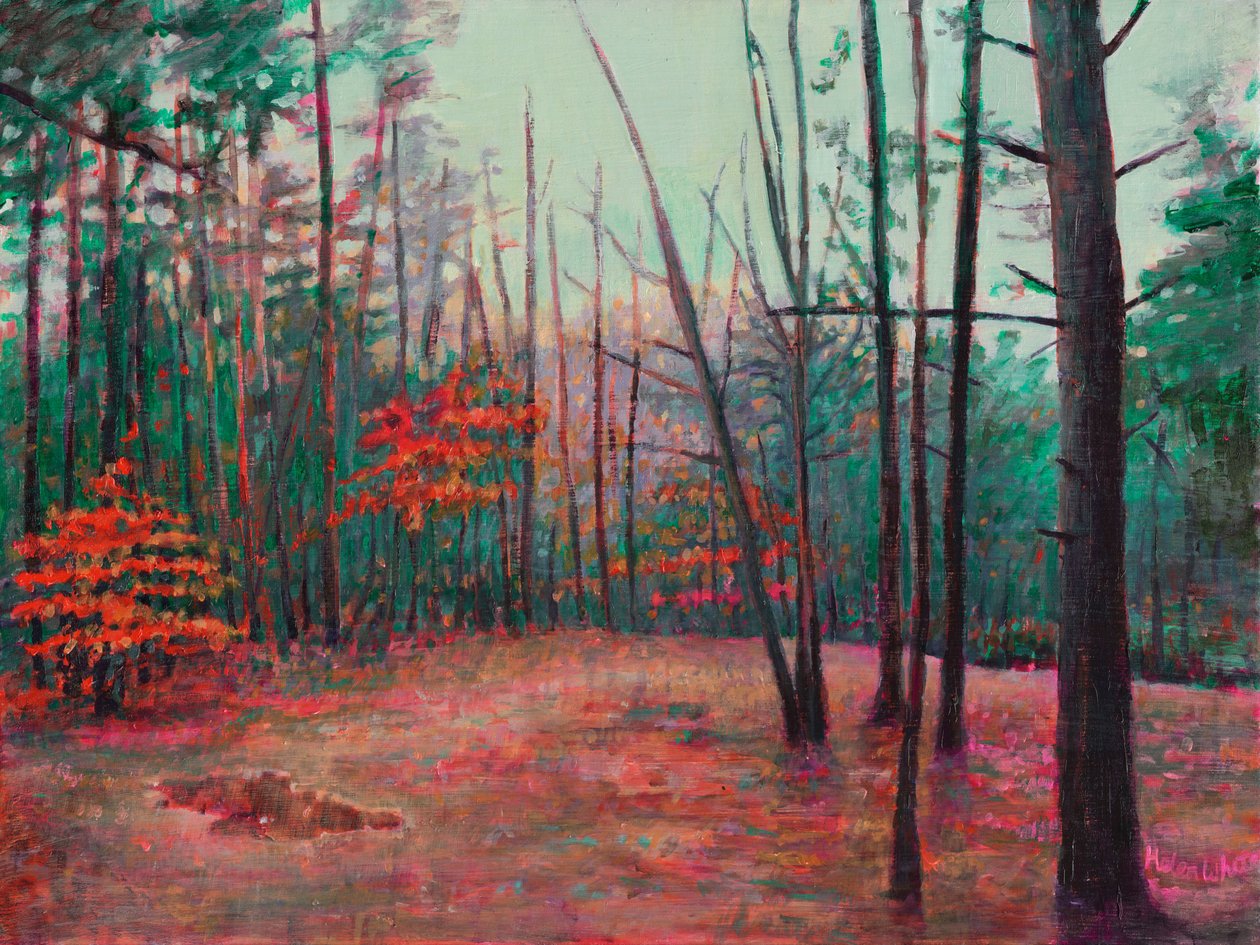 Radura autunnale da Helen White