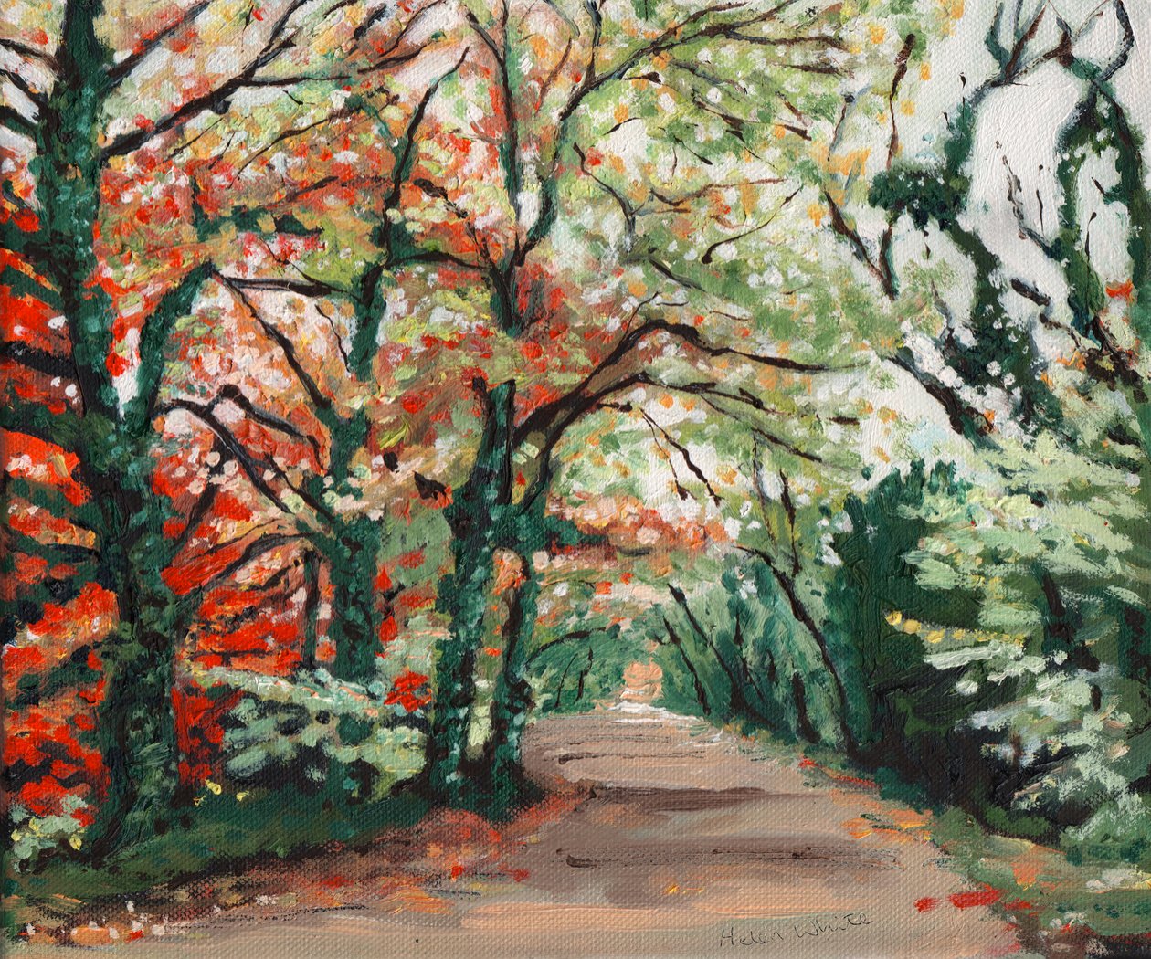 Viale autunnale, 2008 da Helen White