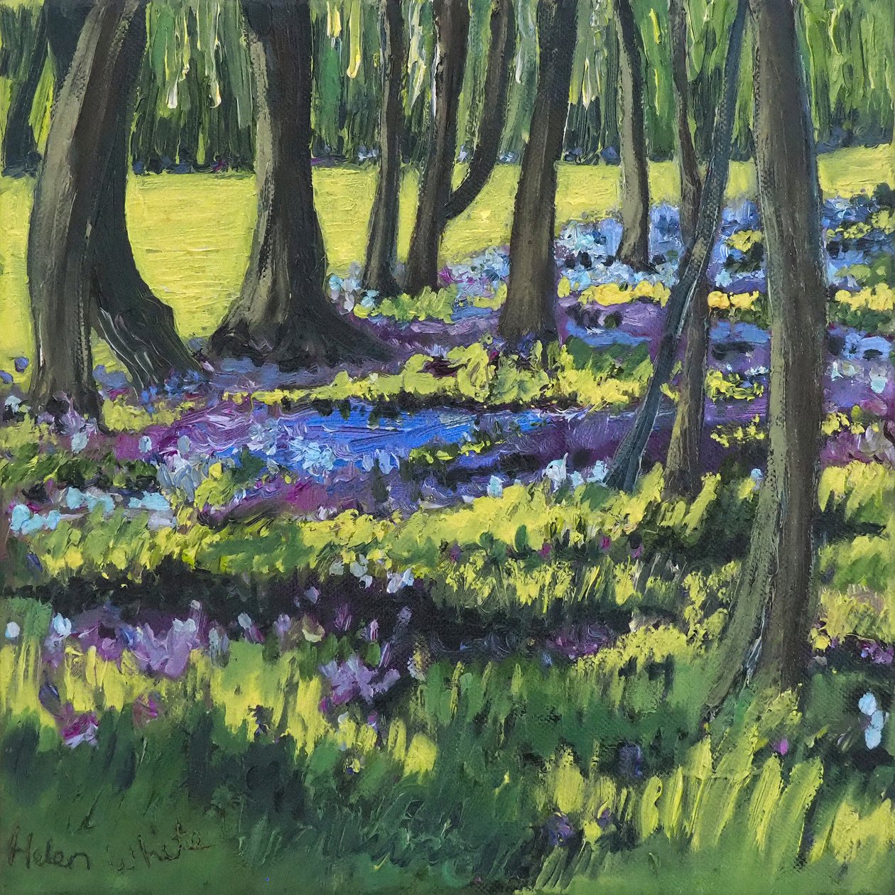 Bosco di campanule, 2008 da Helen White