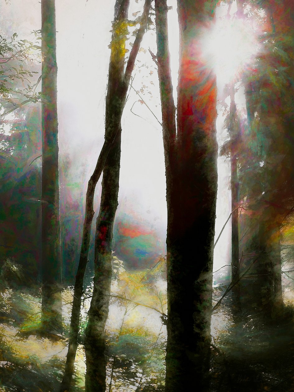 Osa di Credere, 2018 da Helen White
