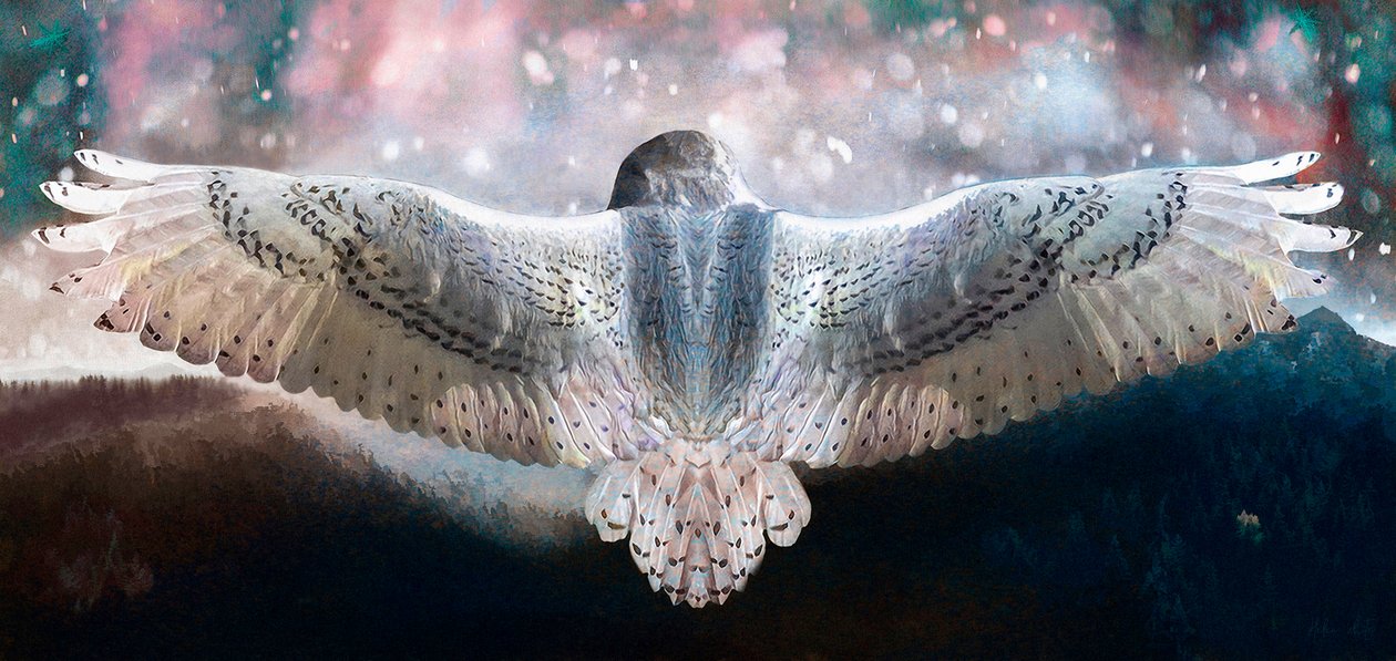 Osa Volare da Helen White