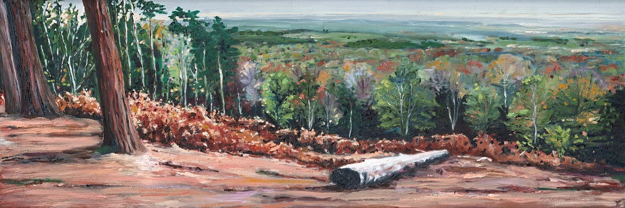 Alta cresta da Helen White
