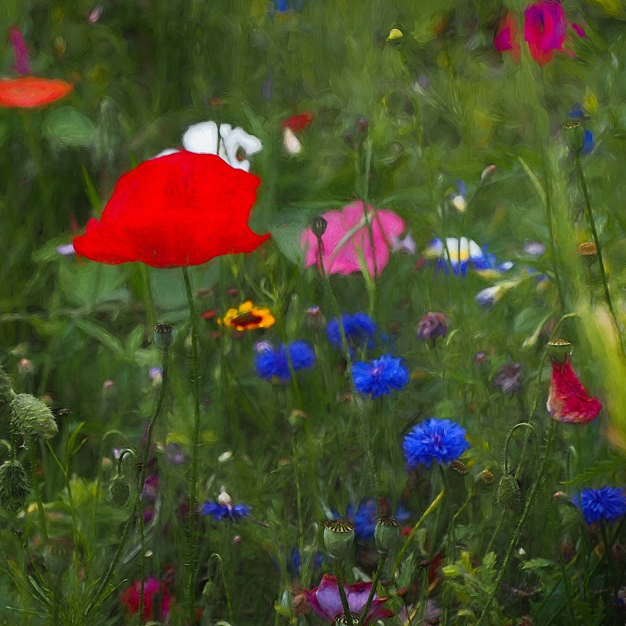 La scatola dei colori della natura, 2019 da Helen White