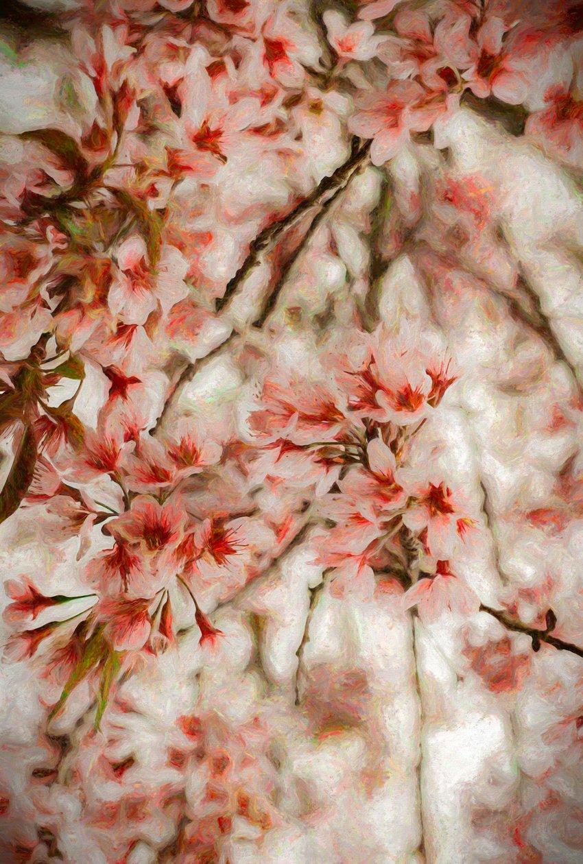 Orientalis, 2020 da Helen White
