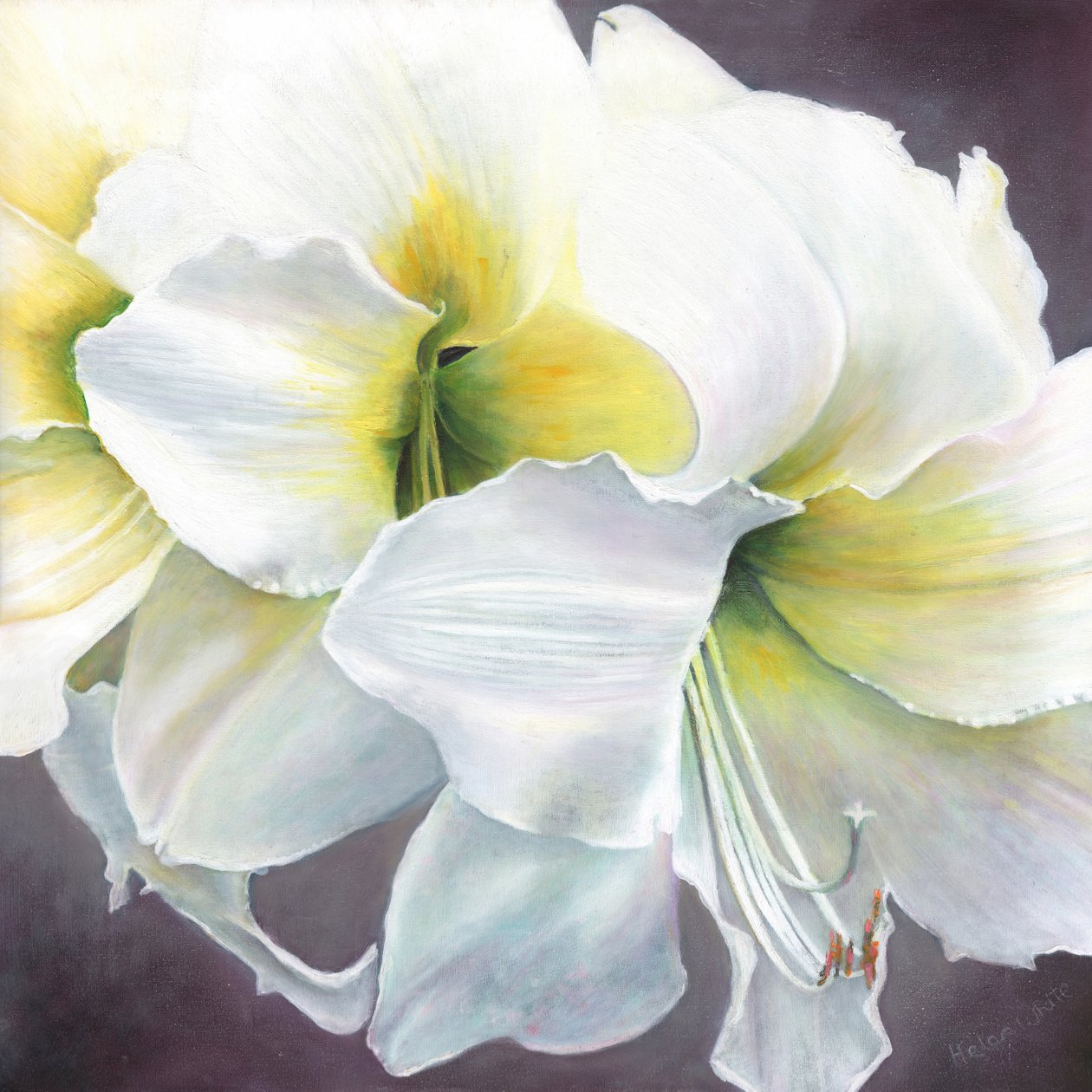 Puro potenziale, 2016 da Helen White