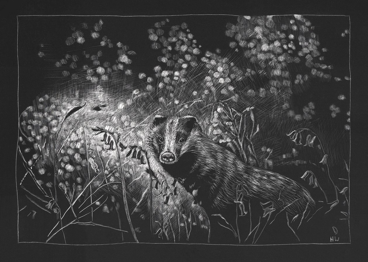 Tasso di primavera da Helen White