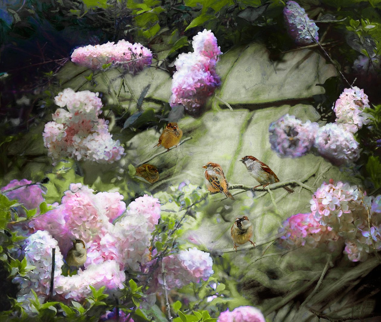Passeri di primavera da Helen White