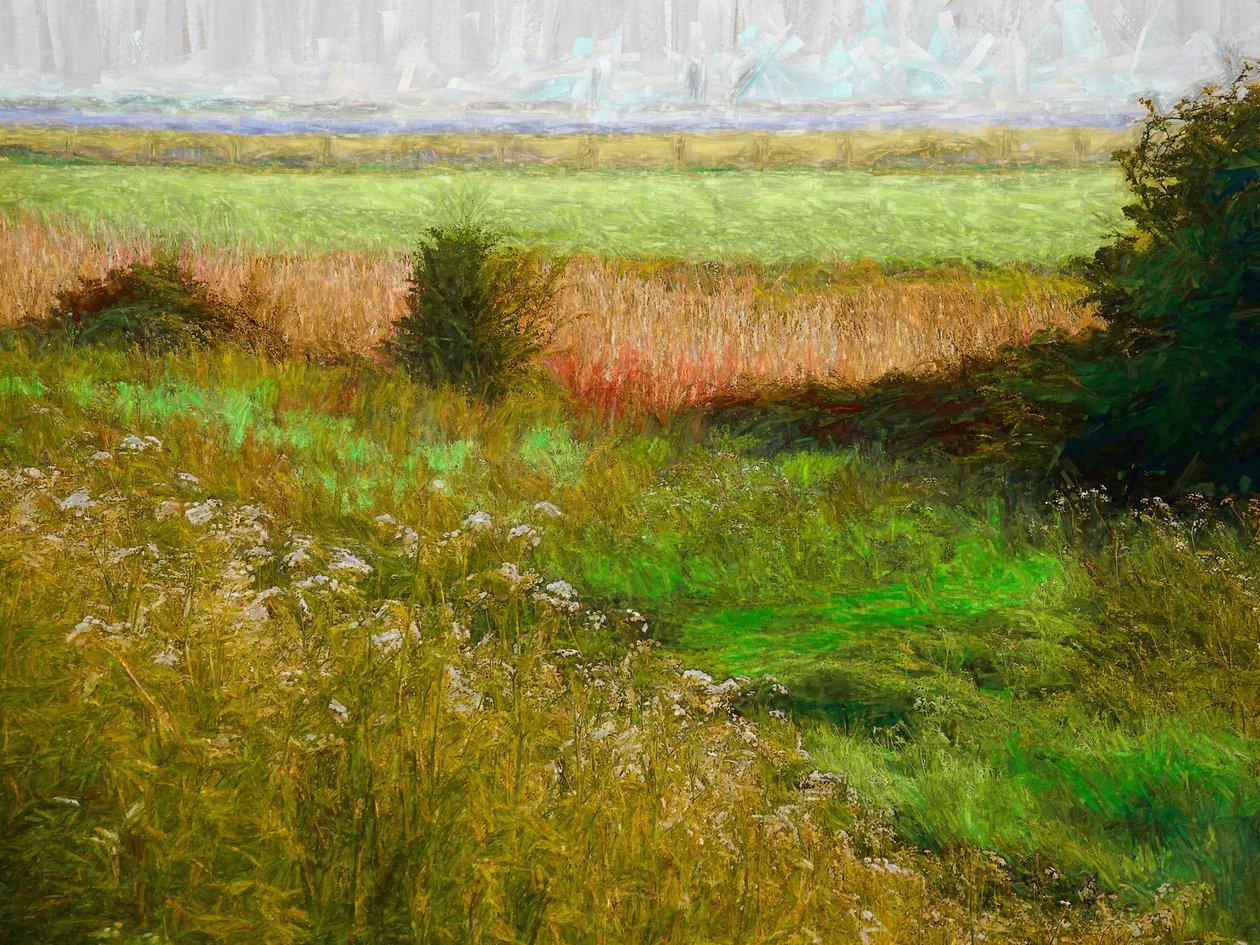 Prato estivo, 2019 da Helen White