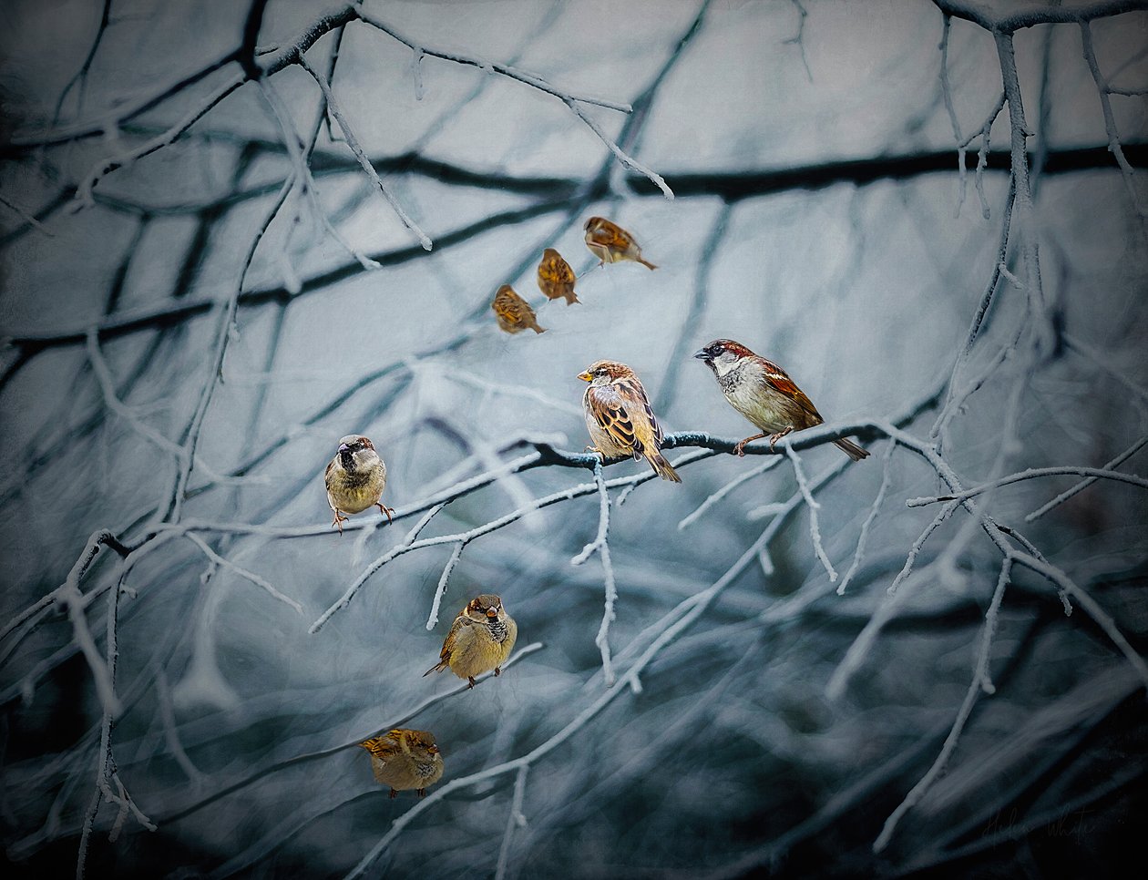 Brulicante di vita da Helen White