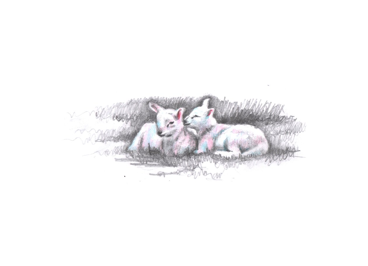 Gemelli, 2016 da Helen White