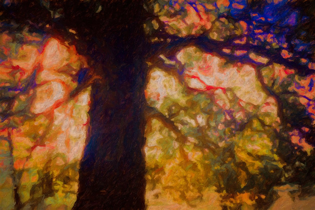 Sotto la Quercia Spreading, 2019 da Helen White