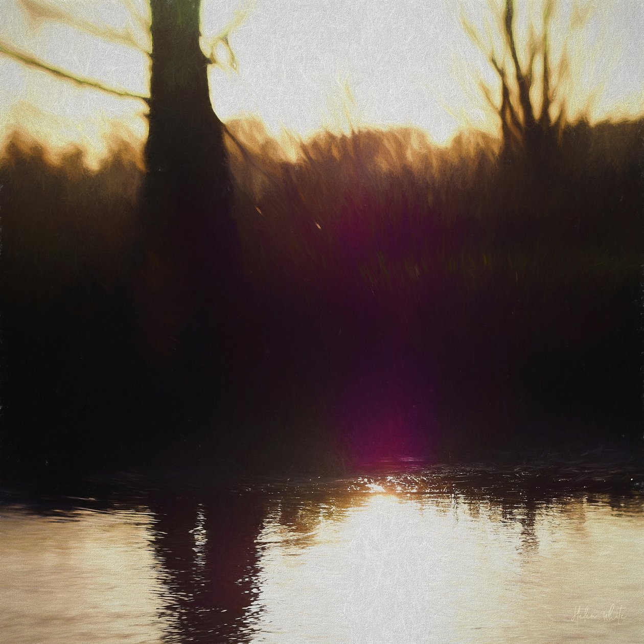 Foschia viola, 2018 da Helen White