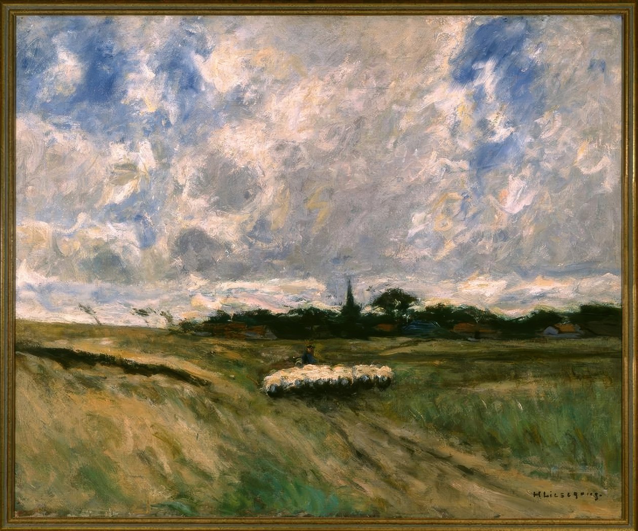 Gregge di pecore da Helmuth Liesegang