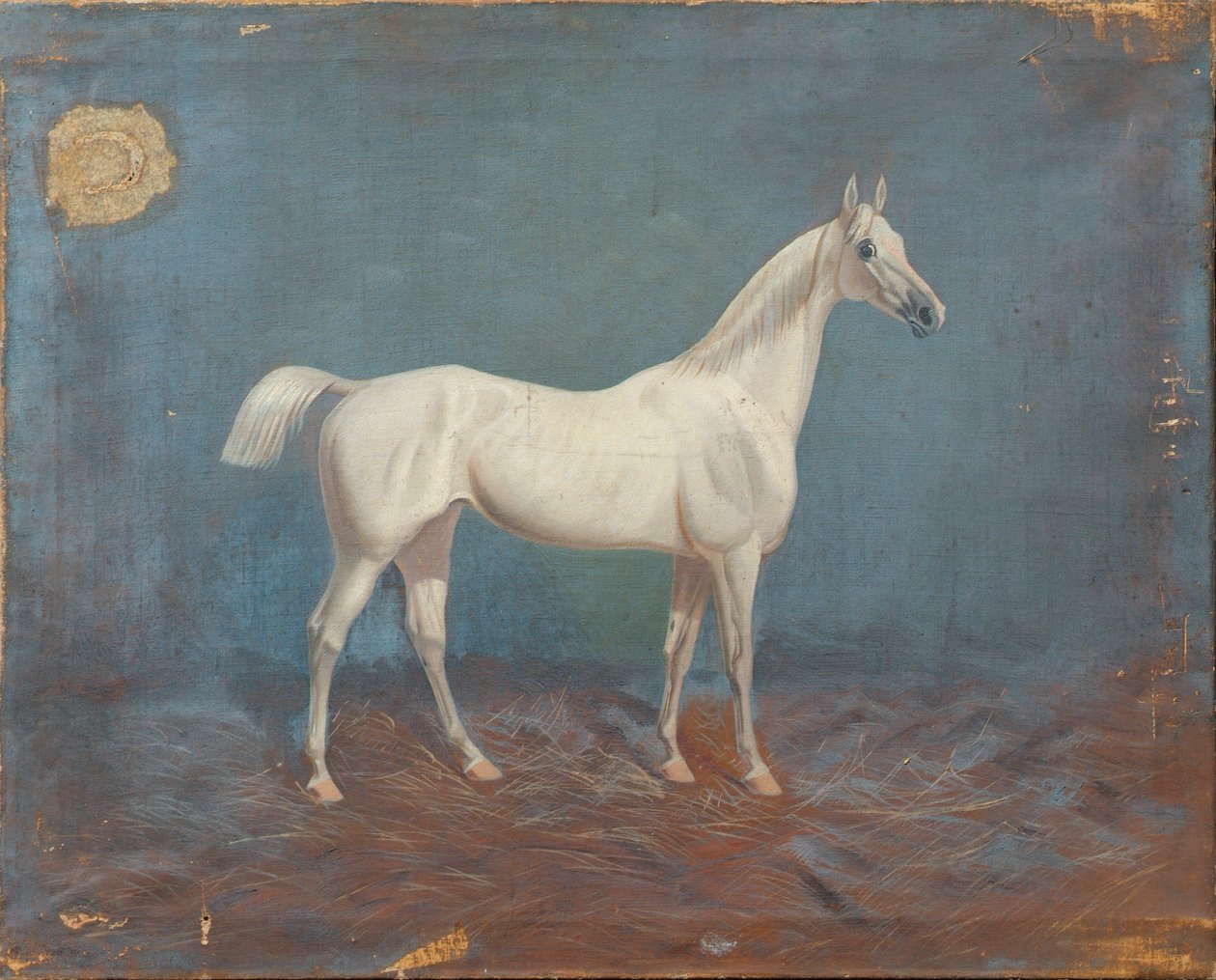 Un cavallo bianco da Hema A. Groy