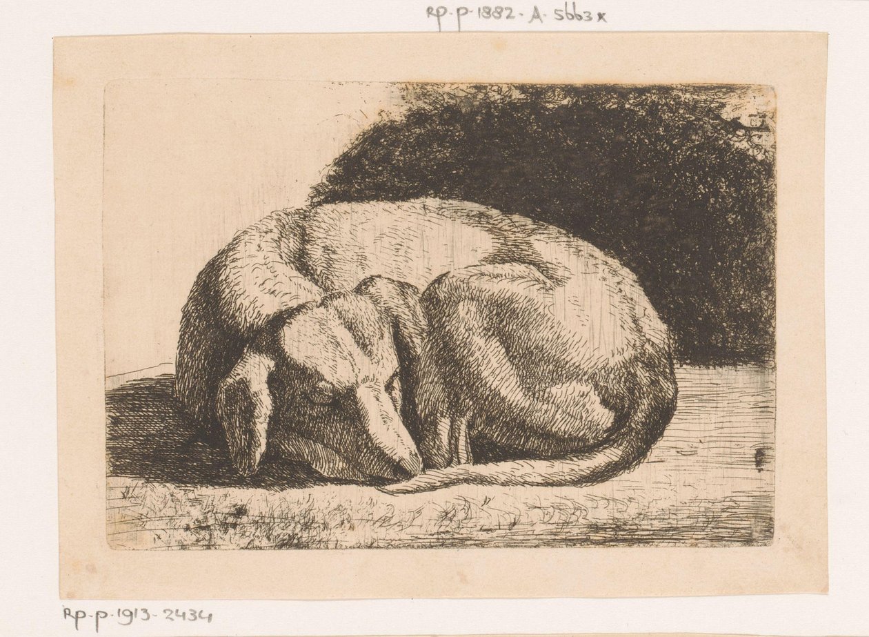 Cane che dorme da Hendrik Jozef Franciscus van der Poorten