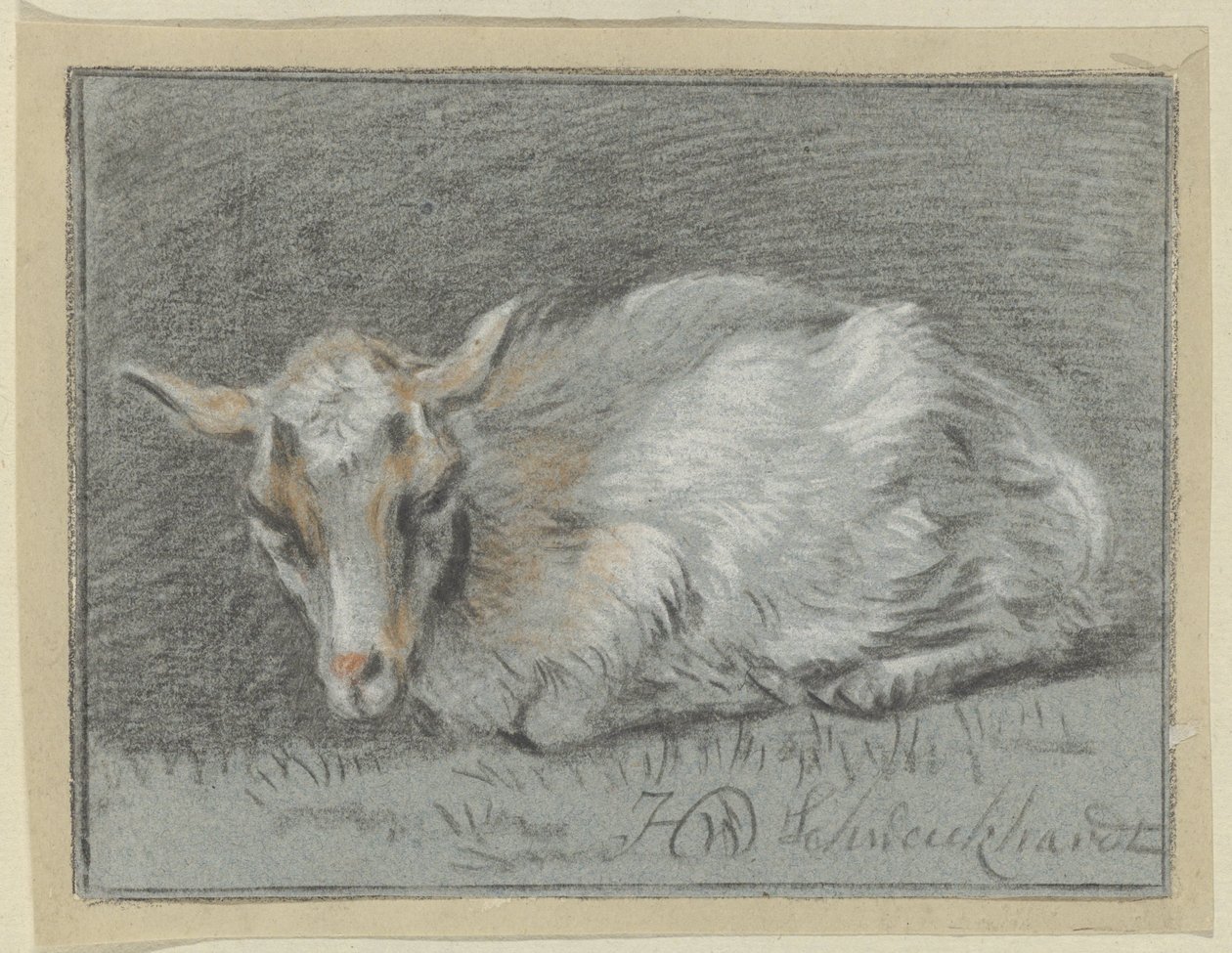 Capra sdraiata da Hendrik Willem Schweickhardt (signed by artist)