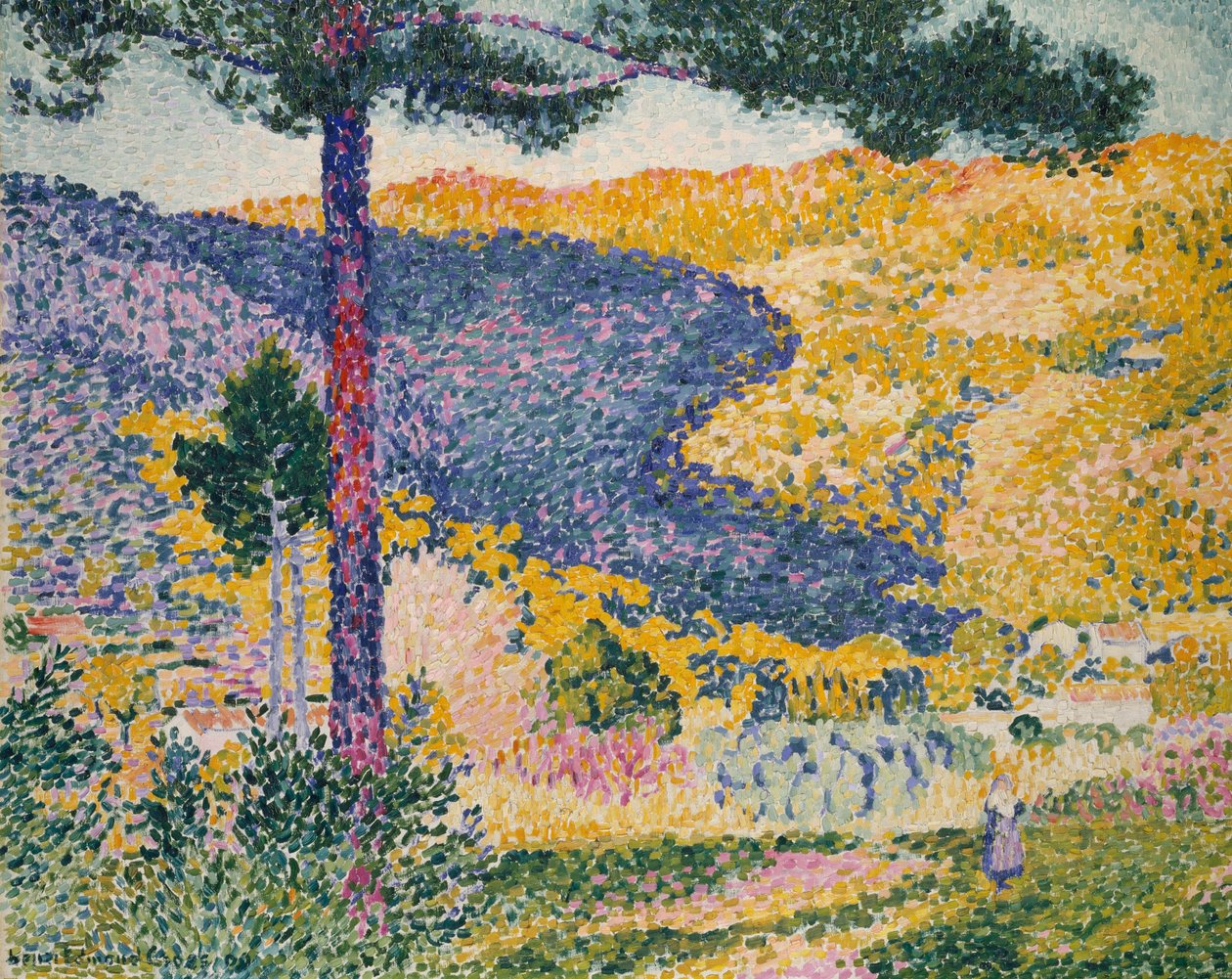 Valle con Abete (Ombra sulla Montagna) da Henri Edmond Cross