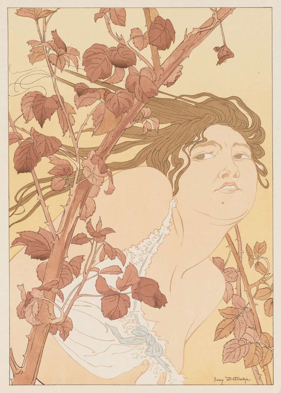 Tra i rovi (Dans les Ronces) da Henri Detouche