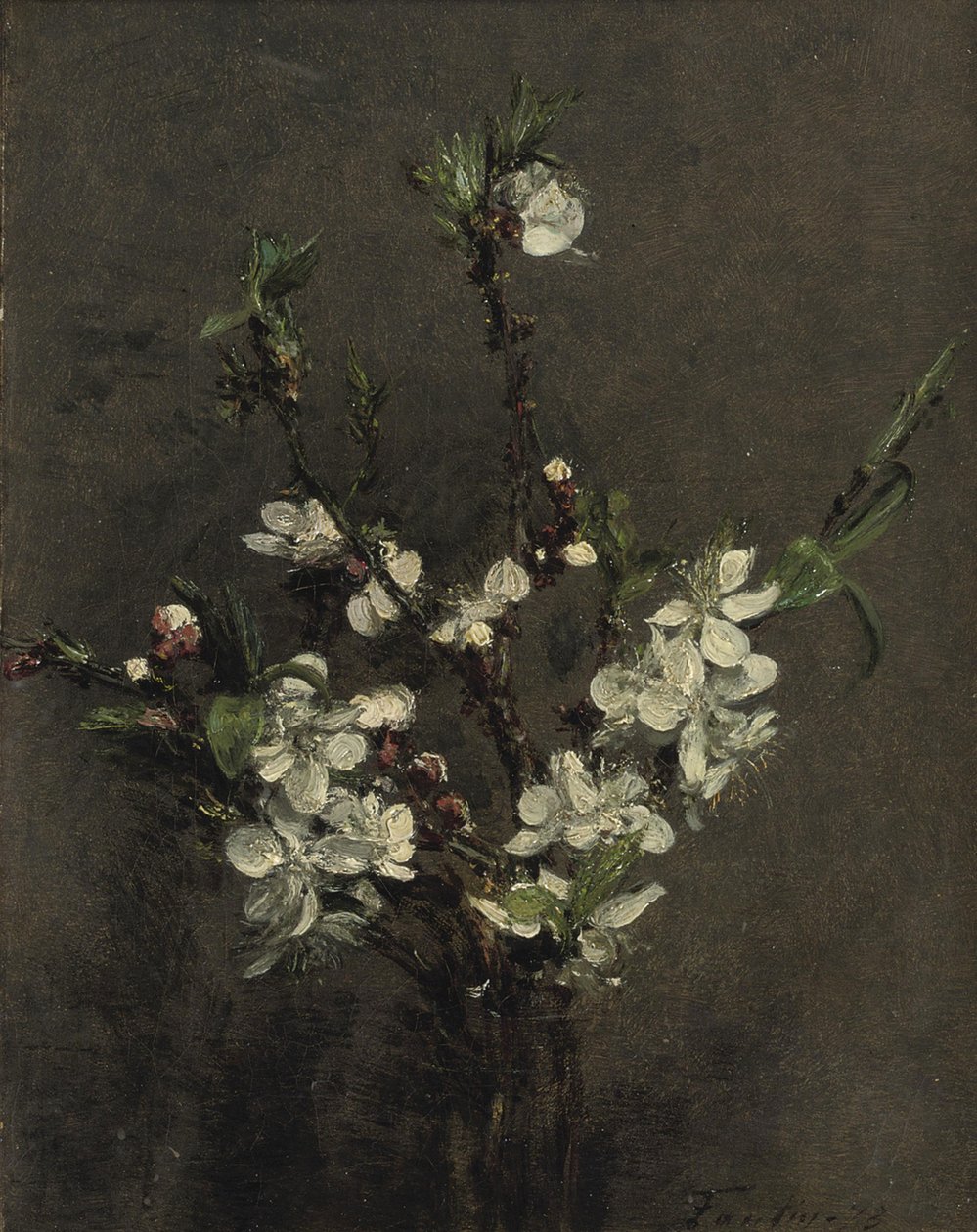 Fiori di Albero da Frutto da Ignace Henri Jean Fantin Latour