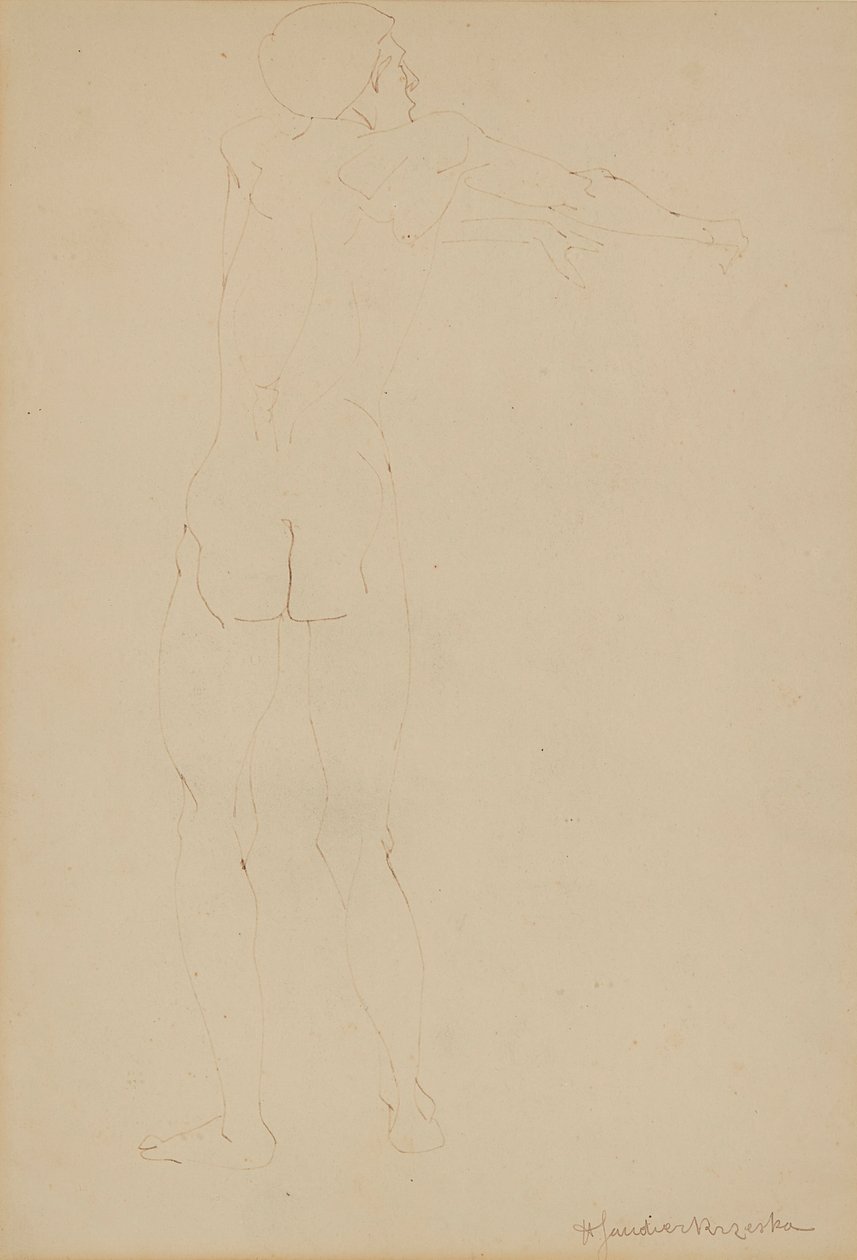 Nudo maschile da Henri Gaudier Brzeska
