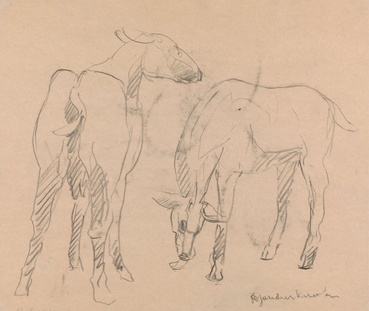 Due capre da Henri Gaudier Brzeska