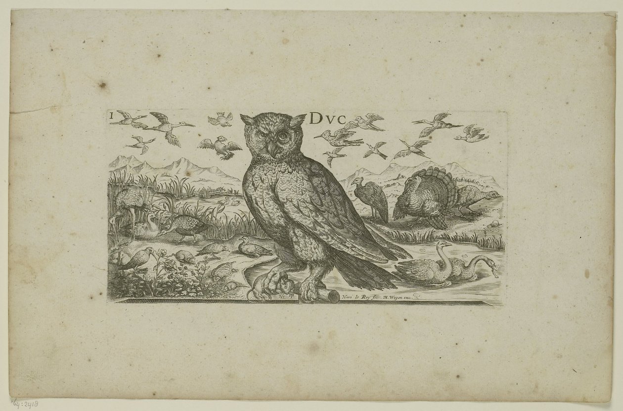 Gufo e altri uccelli (Uccelli) da Henri Le Roy